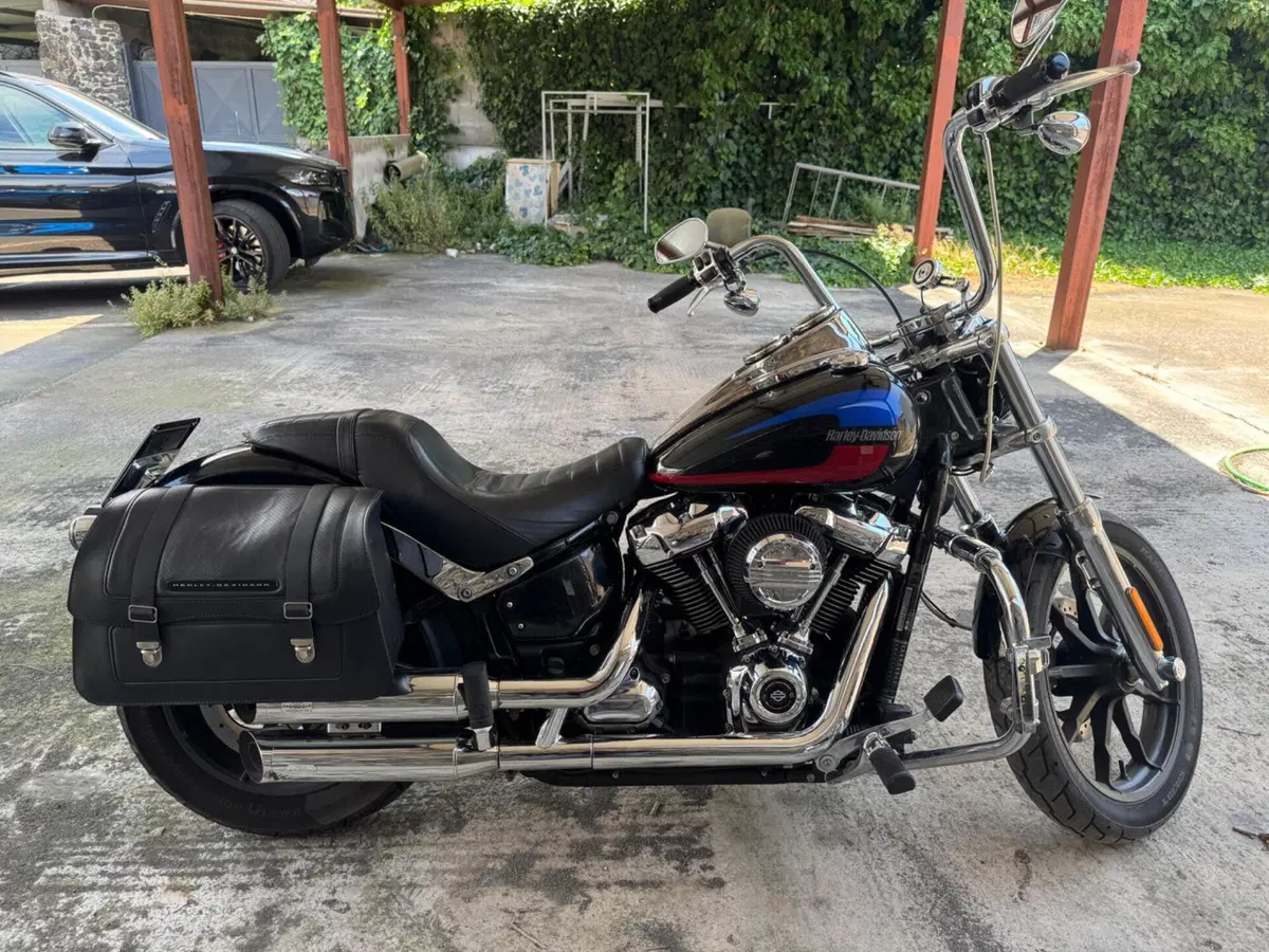 Harley-Davidson 107 Low Rider (2018 - 20) - FXLR (5)