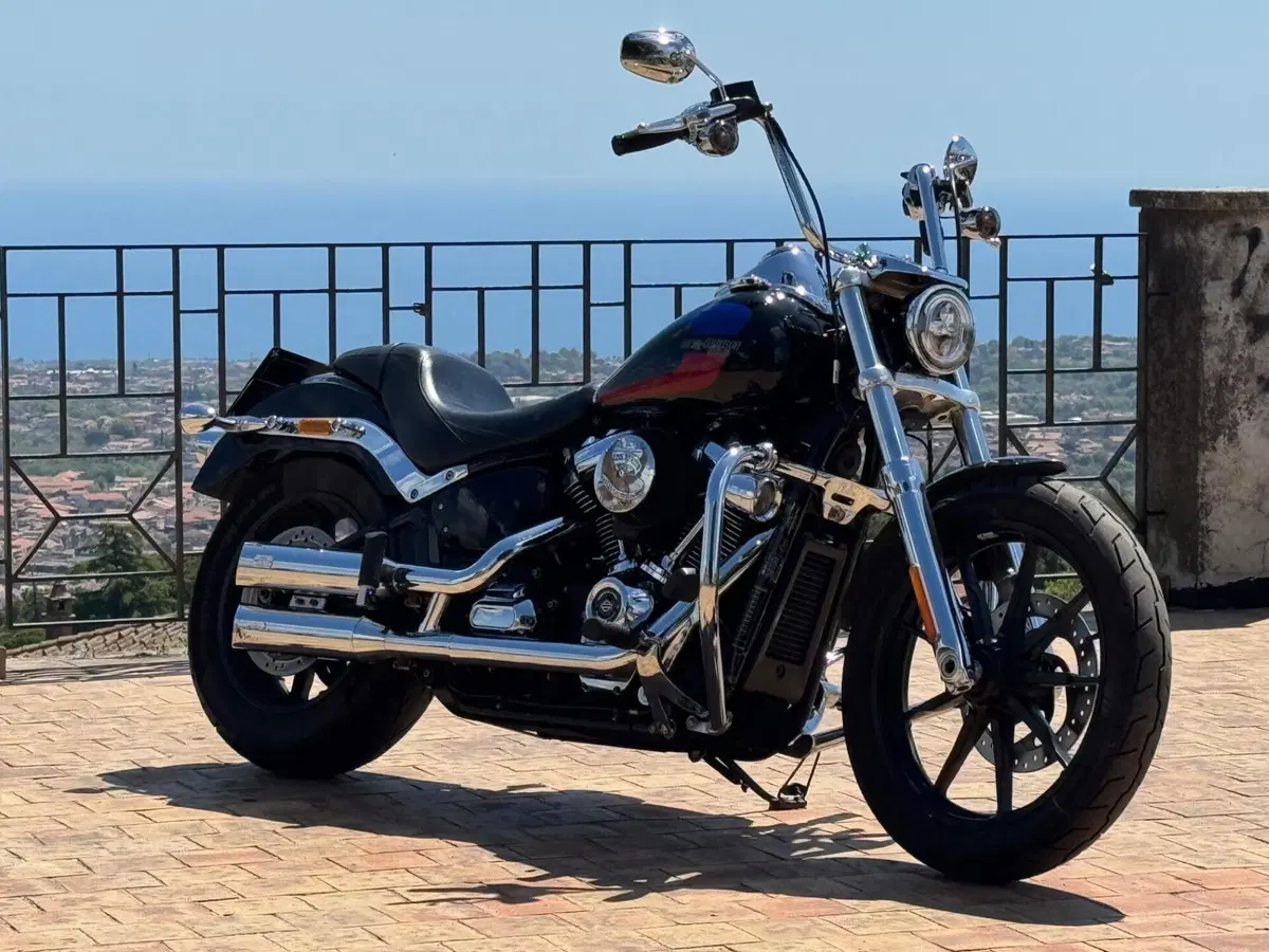 Harley-Davidson 107 Low Rider (2018 - 20) - FXLR (7)