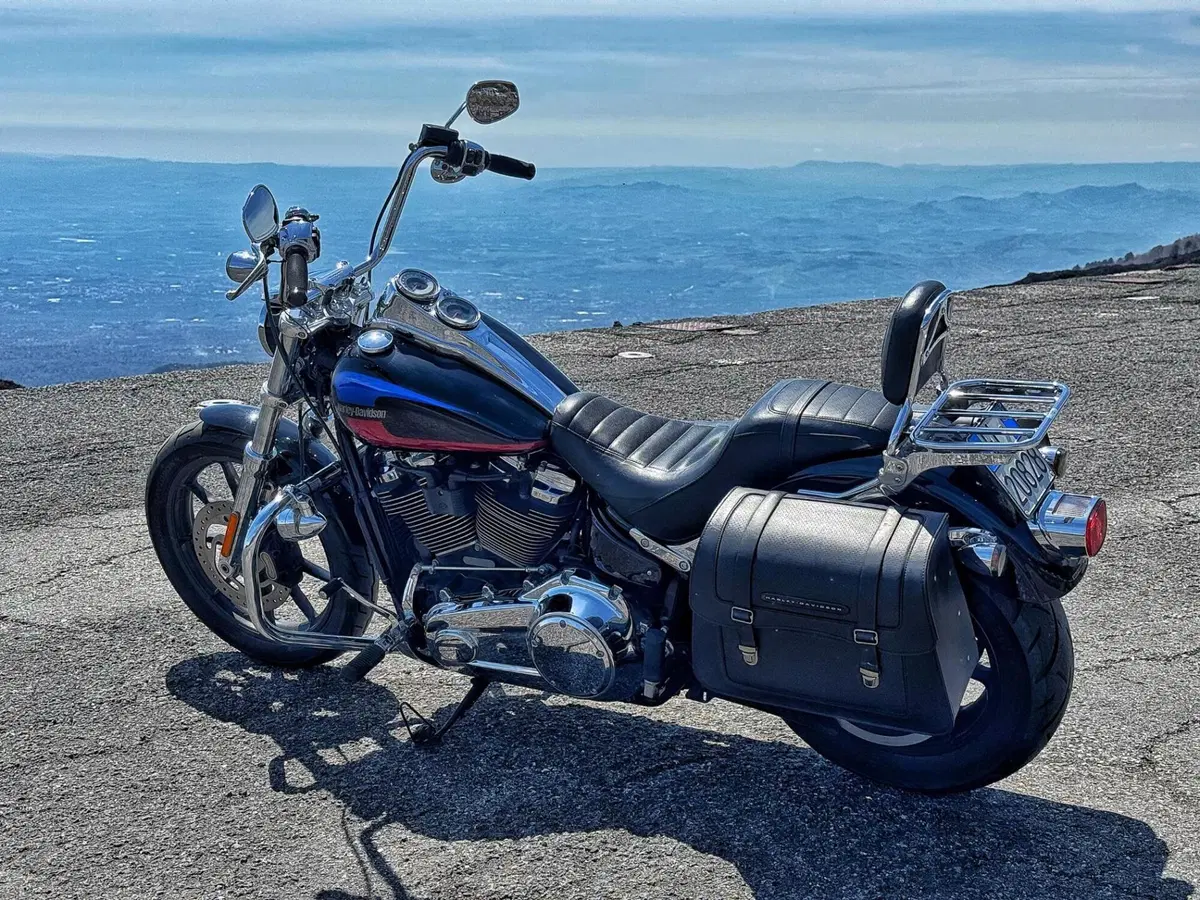 Harley-Davidson 107 Low Rider (2018 - 20) - FXLR (8)