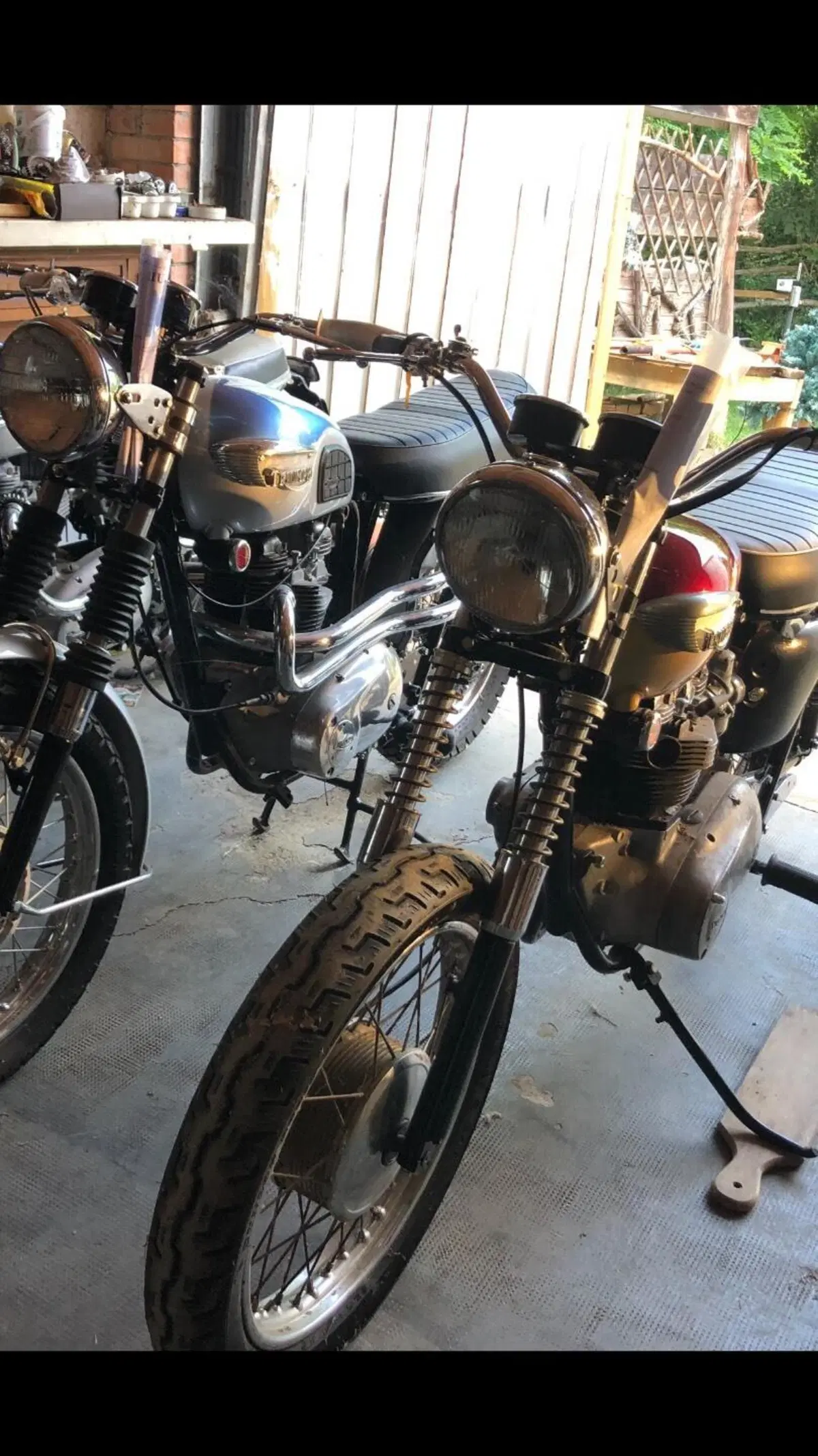 Triumph T120 Bonneville  (2)