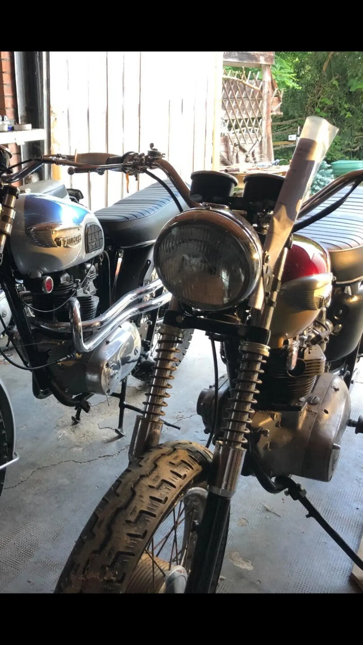 Triumph T120 Bonneville  (3)