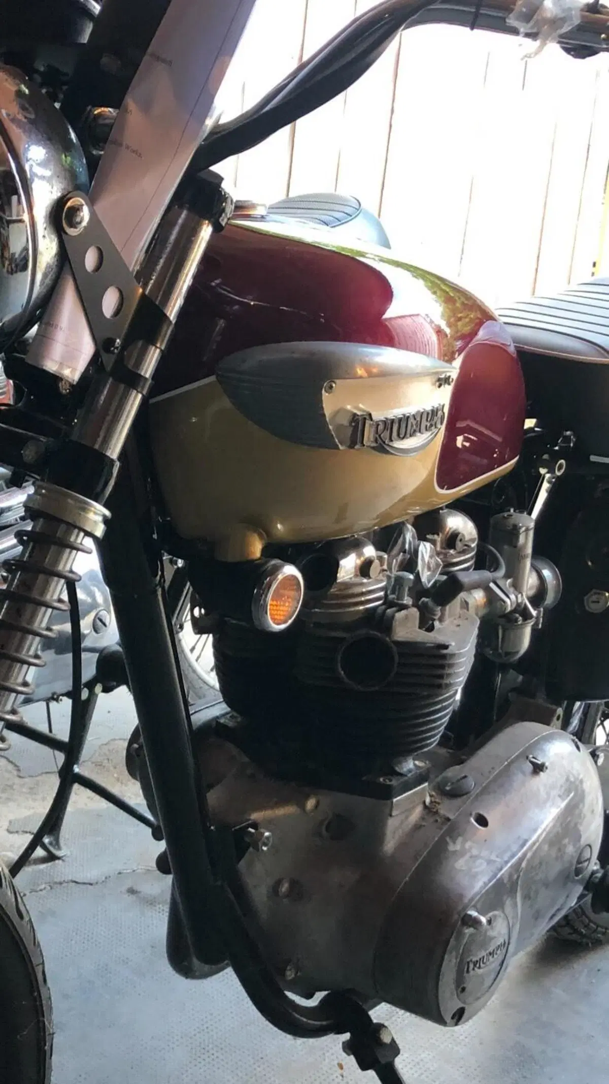 Triumph T120 Bonneville  (4)