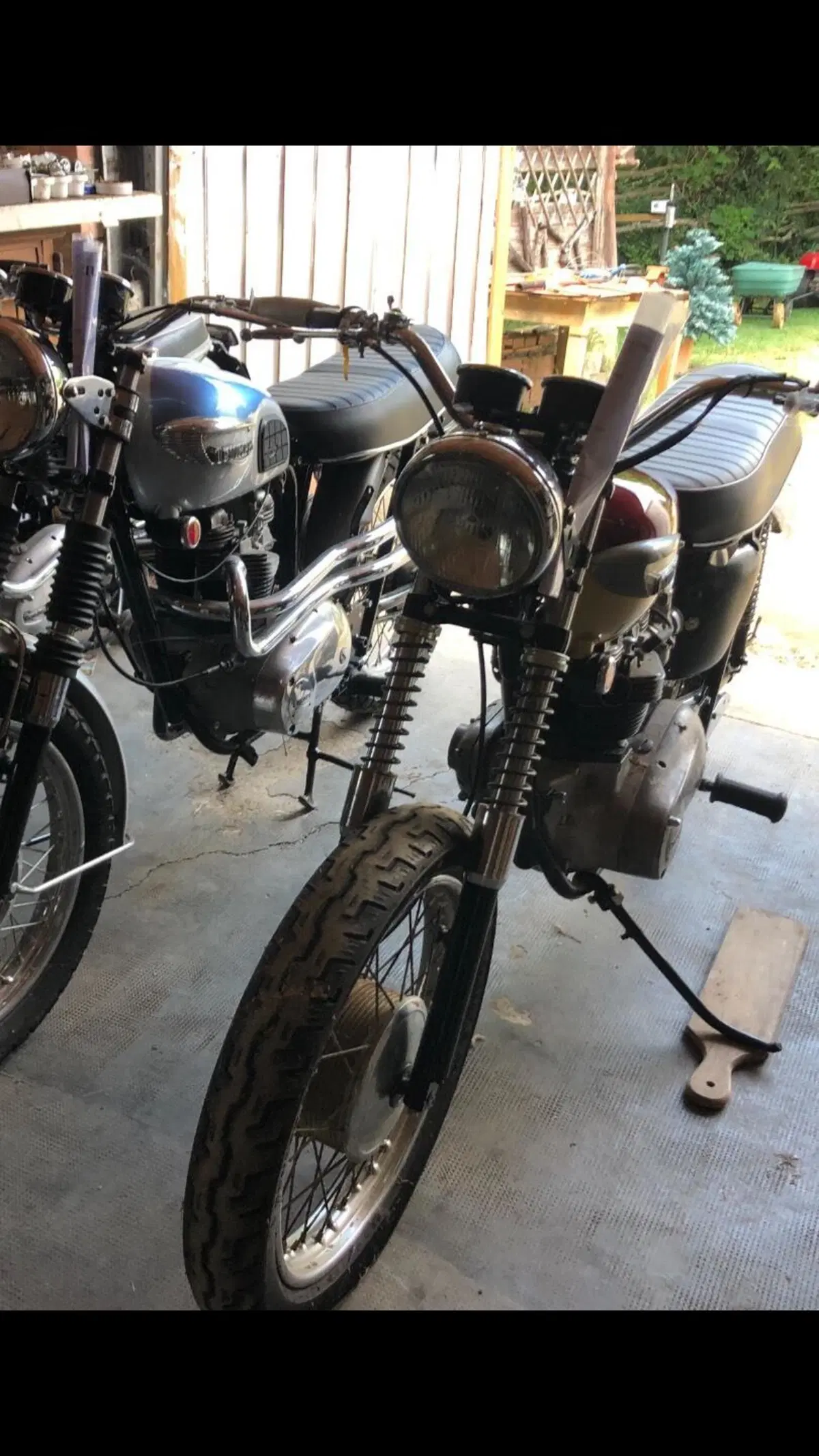 Triumph T120 Bonneville  (5)