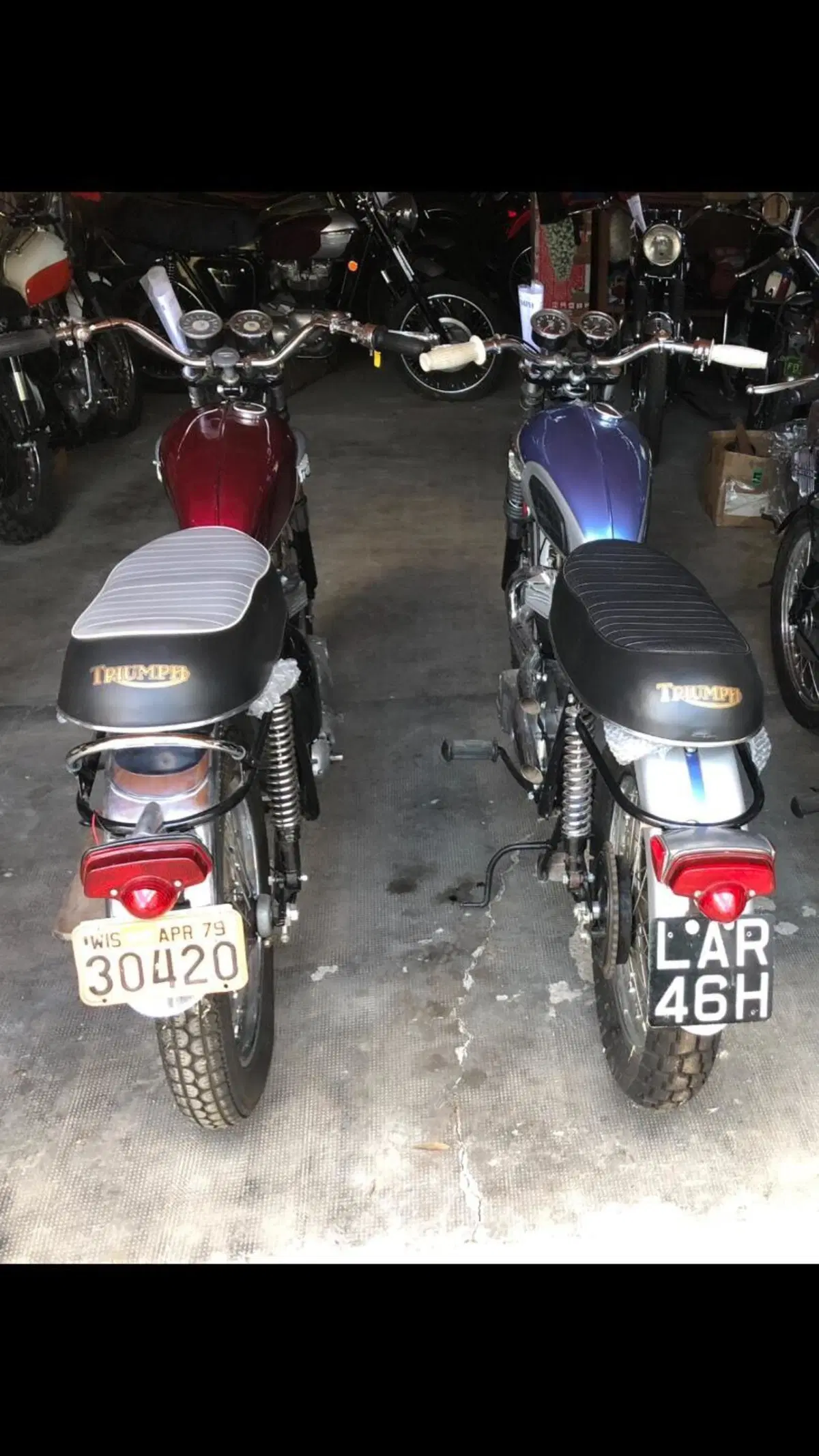 Triumph T120 Bonneville  (7)