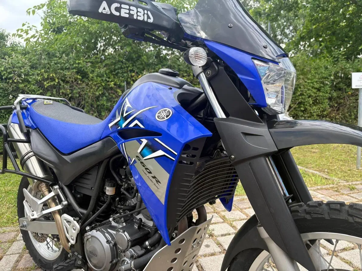 Yamaha XT 660 R (2004 - 16) (8)