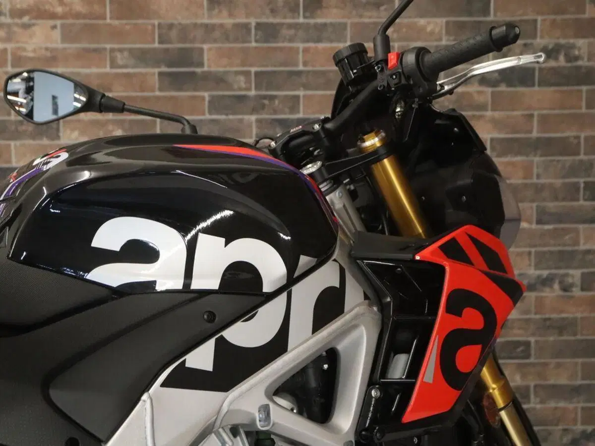 Aprilia Tuono V4 Factory (2021 - 24) (9)
