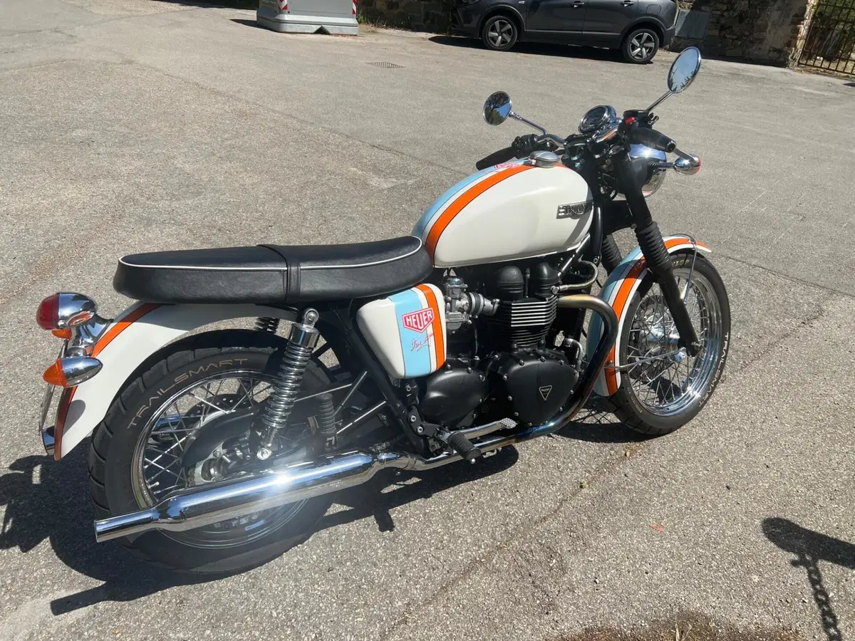 Triumph Bonneville T100 (2008 - 16) (12)
