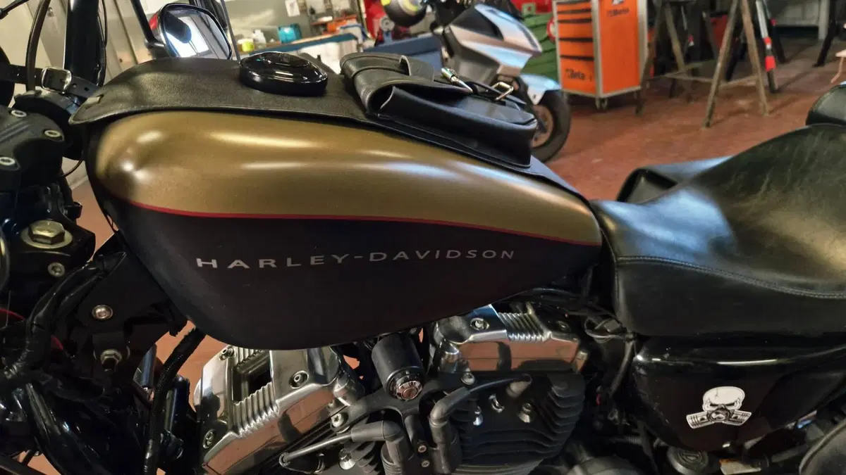 Harley-Davidson XL 1200N Nightster (2008 - 12) (4)