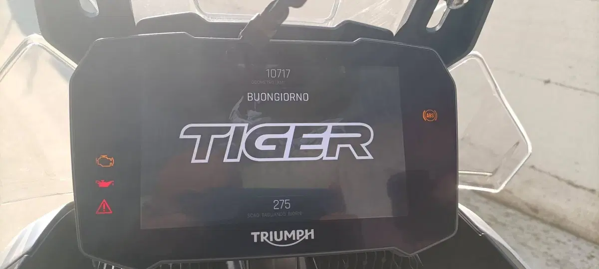 Triumph Tiger 900 Rally Pro (2020 - 23) (6)