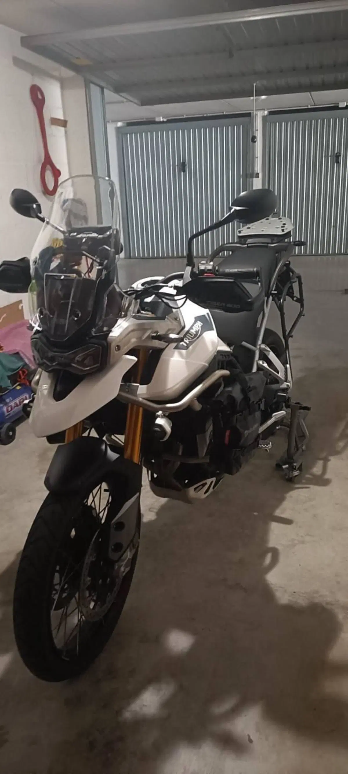 Triumph Tiger 900 Rally Pro (2020 - 23) (9)
