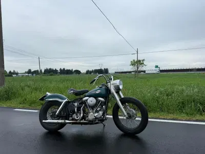 Harley-Davidson FLH 1200 Panhead Duo Glide d'epoca