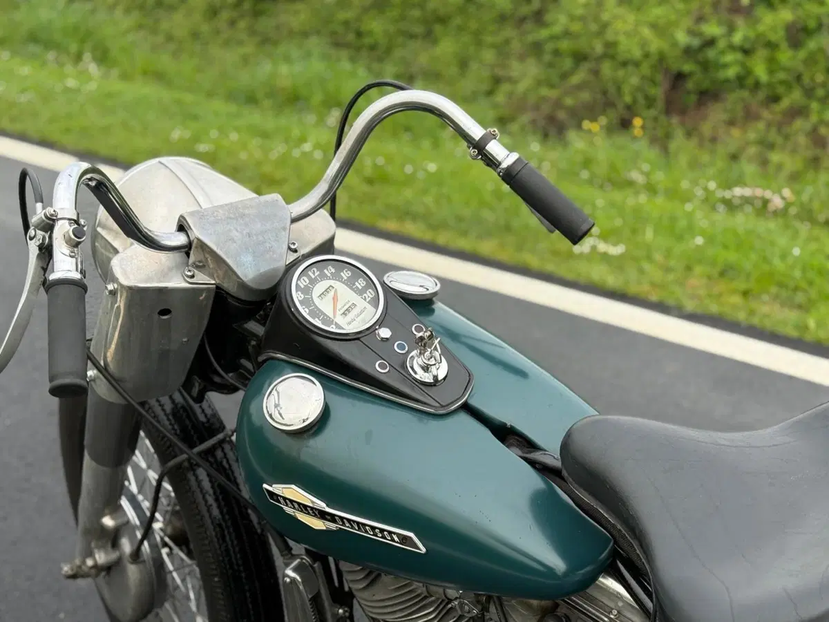 Harley-Davidson FLH 1200 Panhead Duo Glide (4)