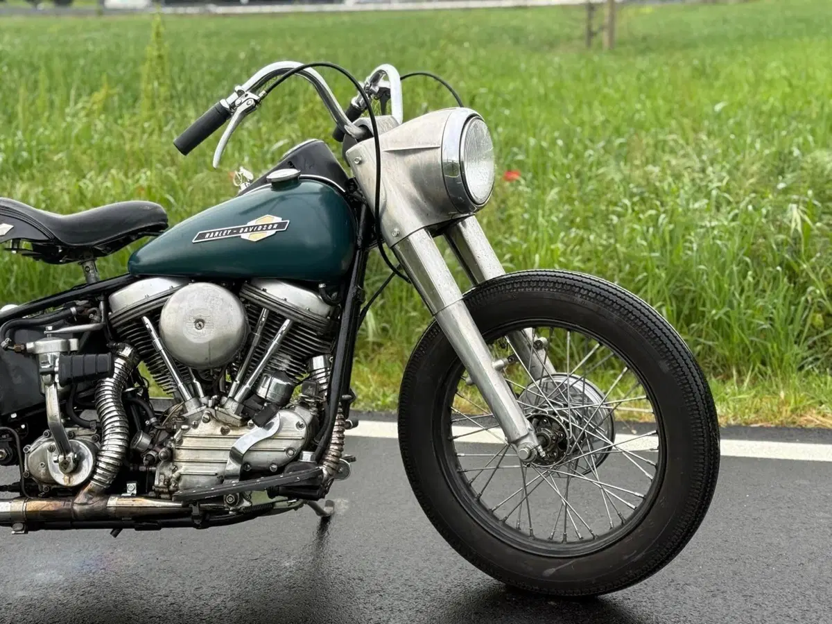 Harley-Davidson FLH 1200 Panhead Duo Glide (5)