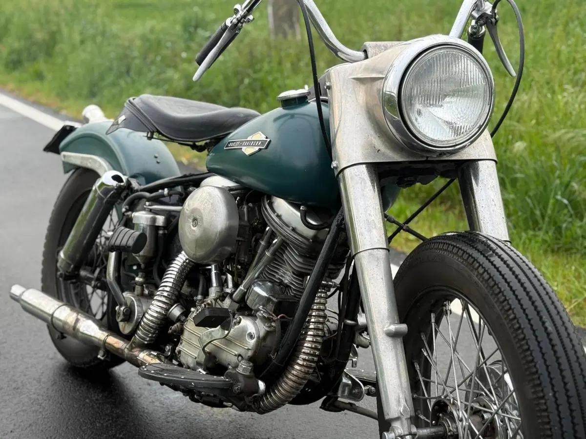 Harley-Davidson FLH 1200 Panhead Duo Glide (7)
