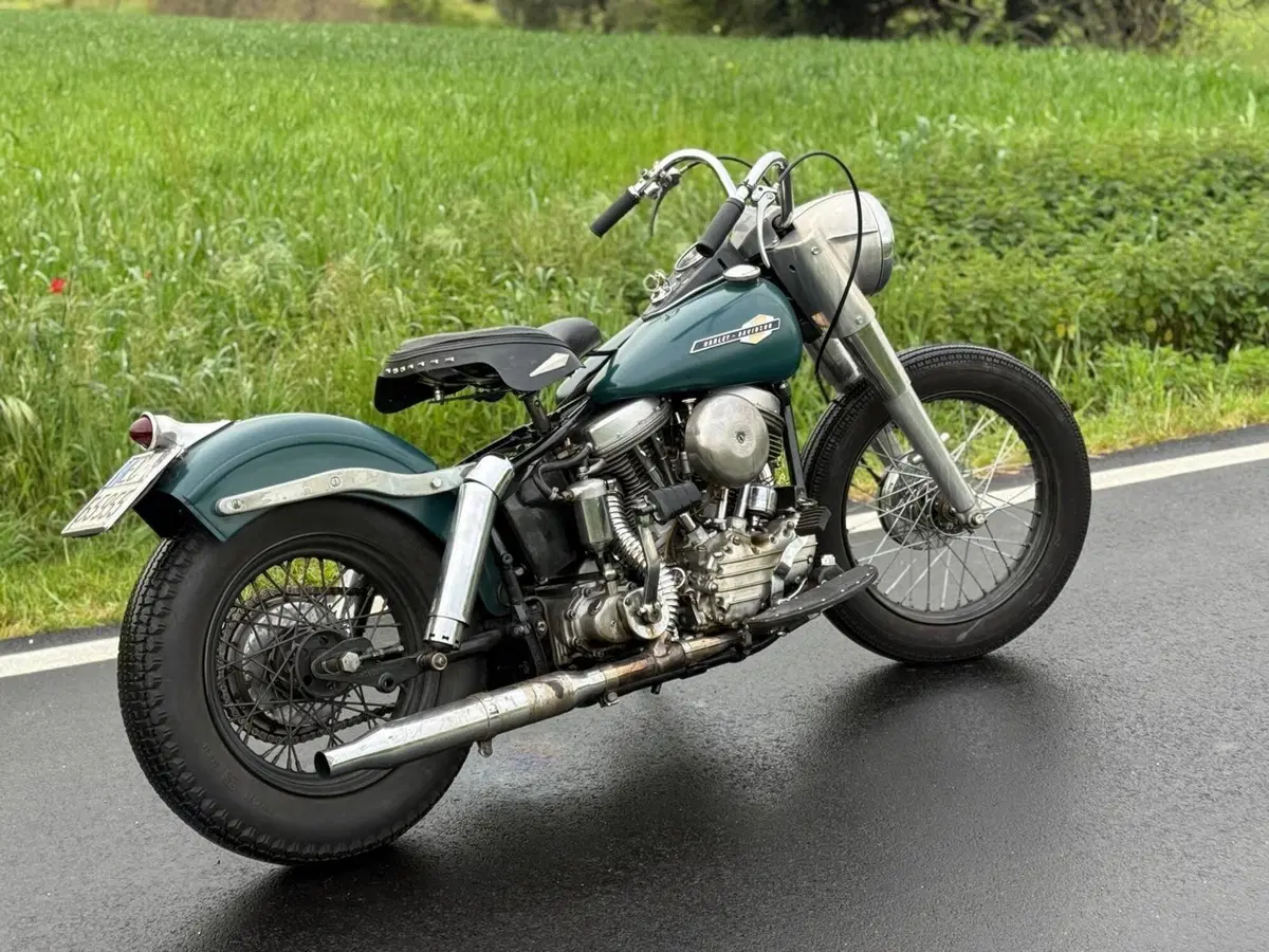 Harley-Davidson FLH 1200 Panhead Duo Glide (8)