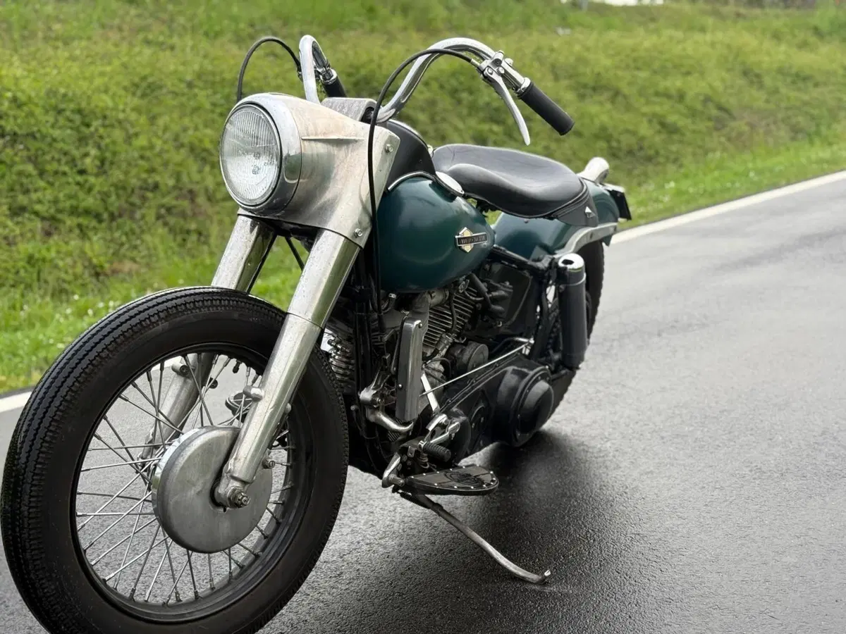 Harley-Davidson FLH 1200 Panhead Duo Glide (9)