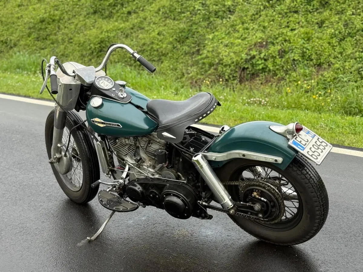 Harley-Davidson FLH 1200 Panhead Duo Glide (10)
