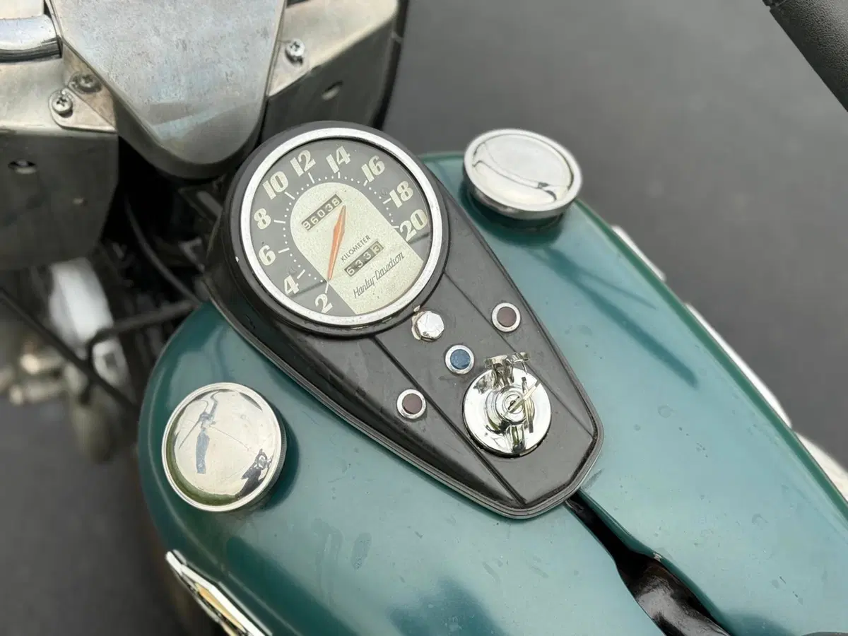 Harley-Davidson FLH 1200 Panhead Duo Glide (11)