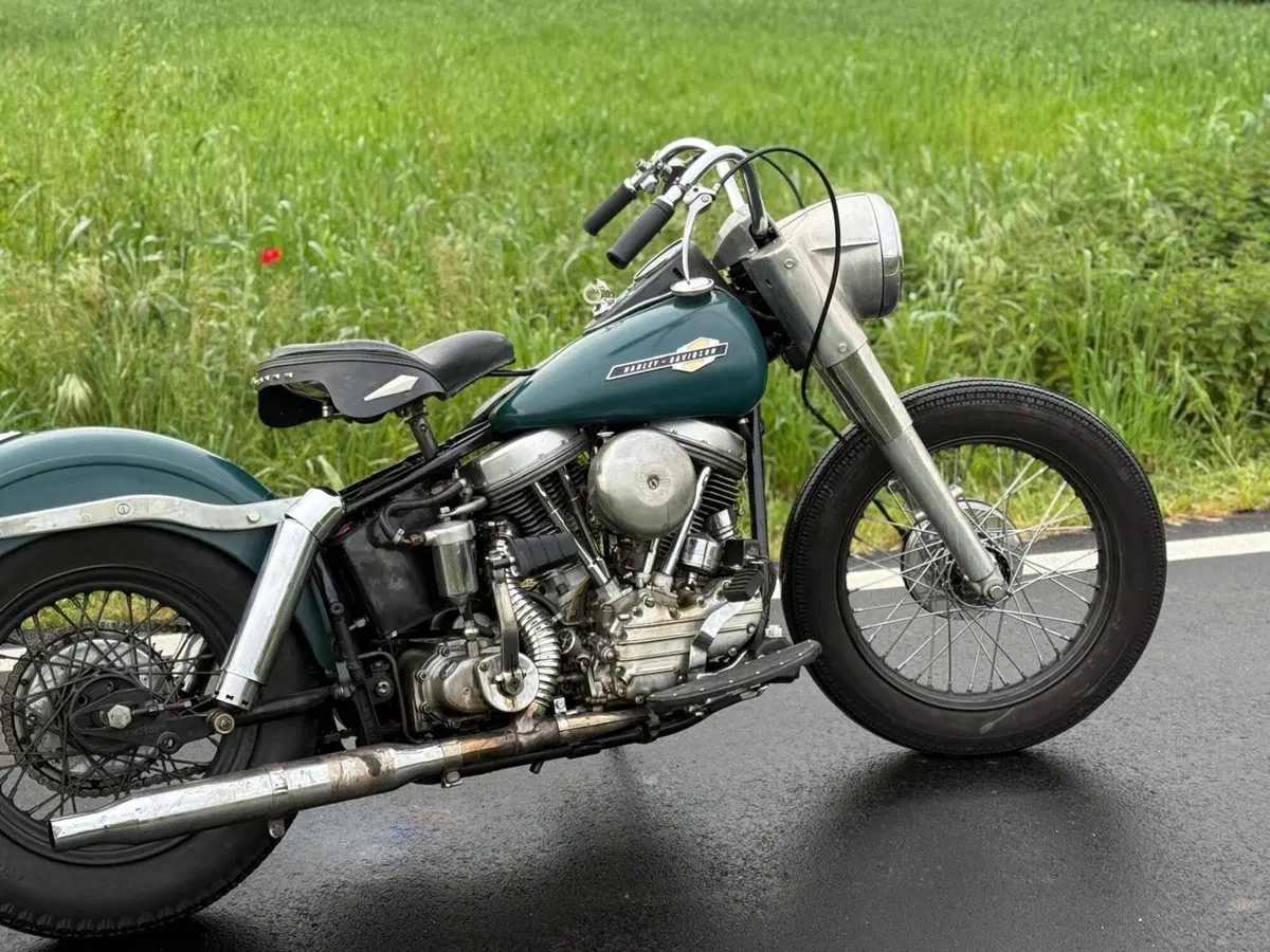 Harley-Davidson FLH 1200 Panhead Duo Glide (12)