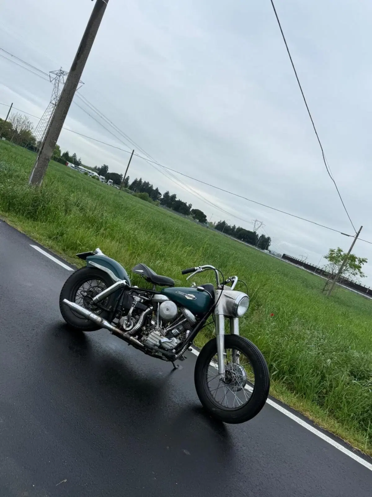 Harley-Davidson FLH 1200 Panhead Duo Glide (13)