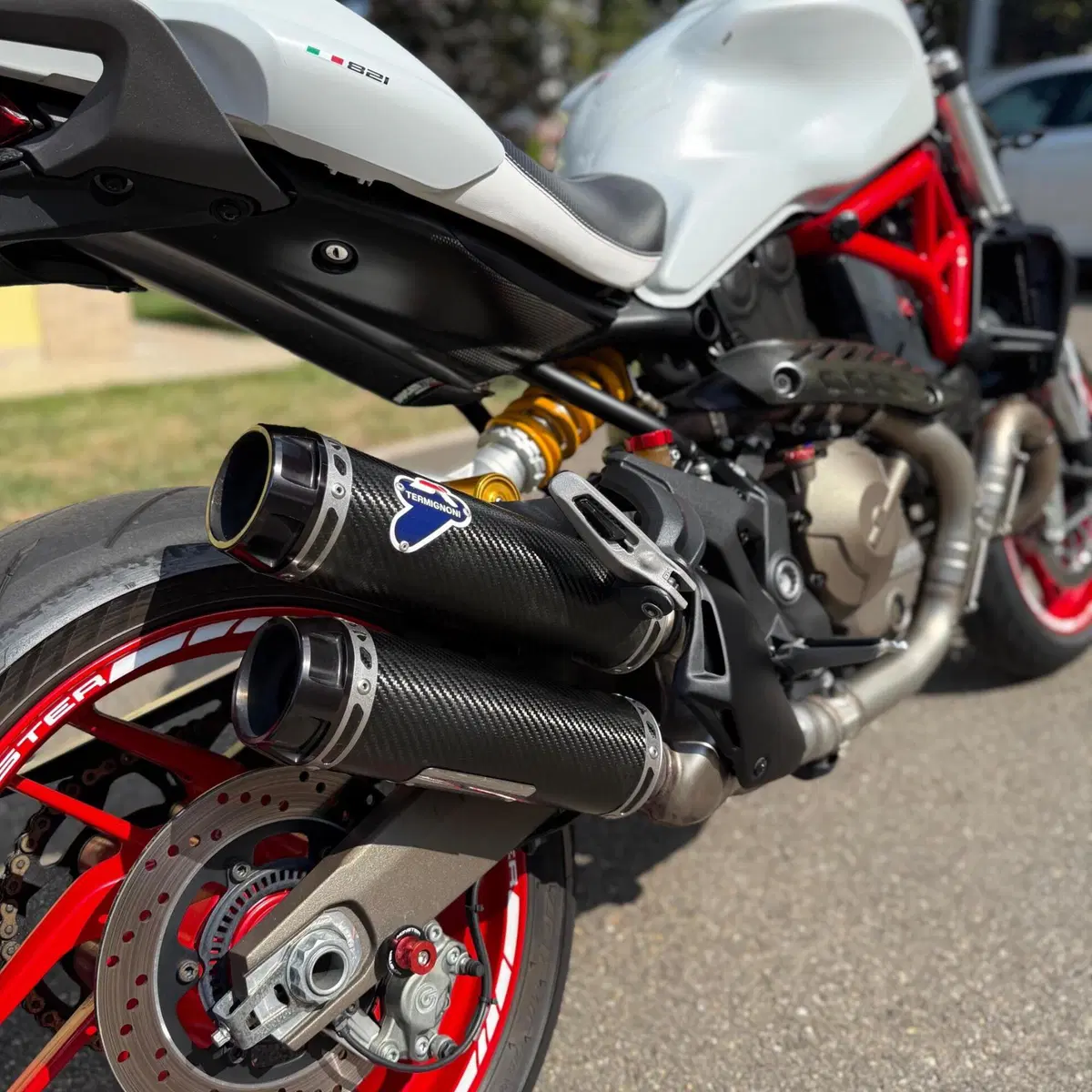 Ducati Monster 821 Dark ABS (2014 - 16) (6)