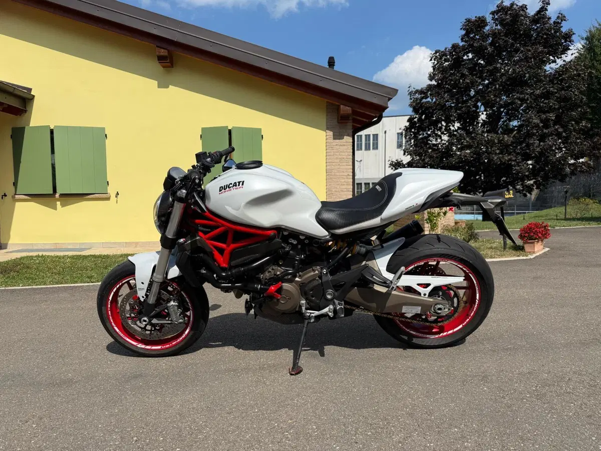 Ducati Monster 821 Dark ABS (2014 - 16) (7)