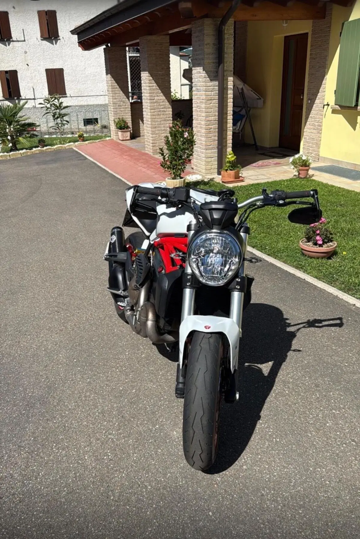 Ducati Monster 821 Dark ABS (2014 - 16) (9)