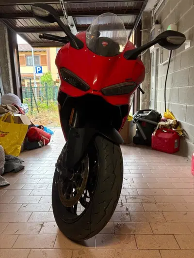Ducati Panigale V2 (2025 - 26) usata