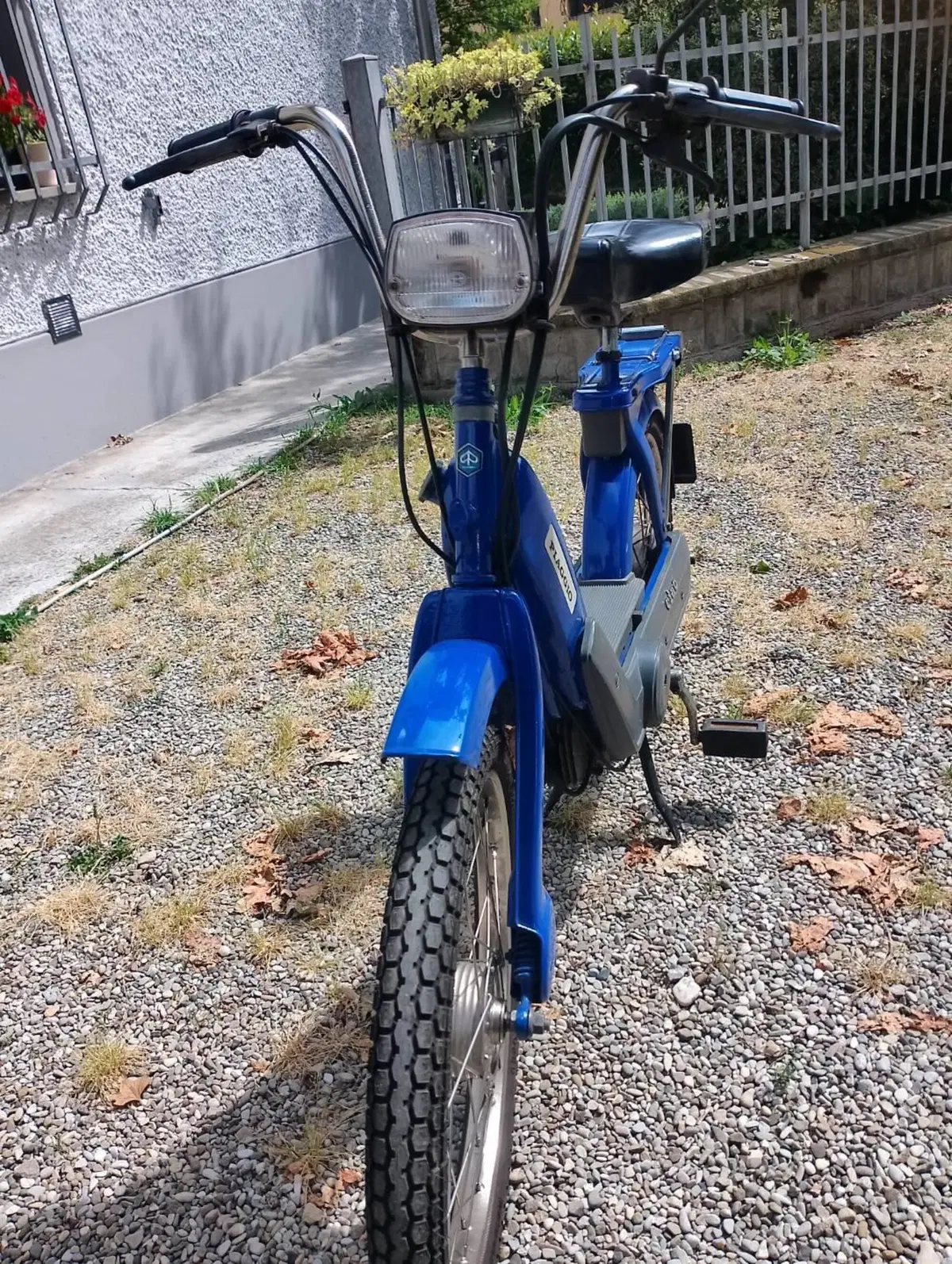 Piaggio CIAO PX (3)