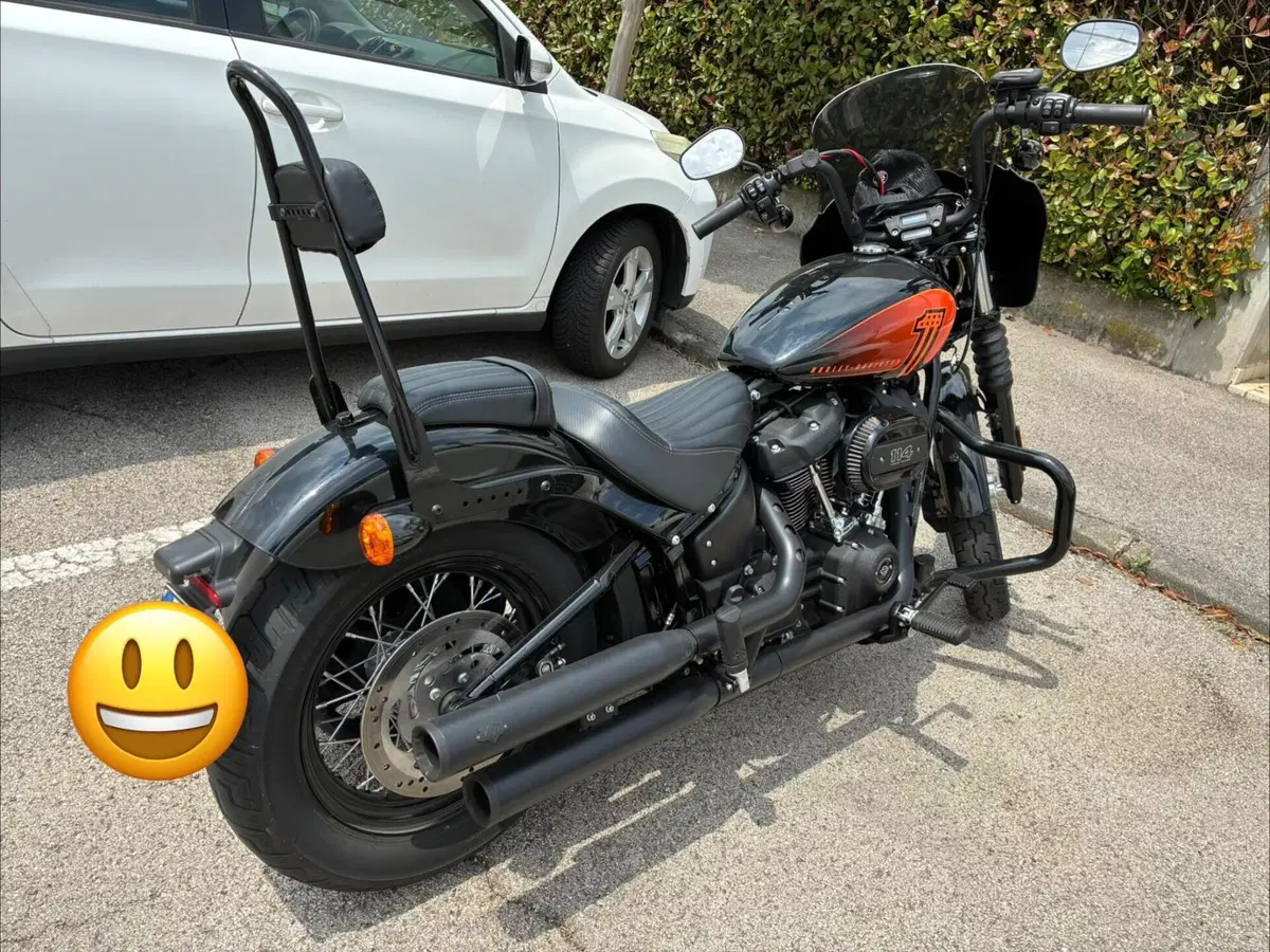 Harley-Davidson Street Bob 114 (2021 - 24) (5)