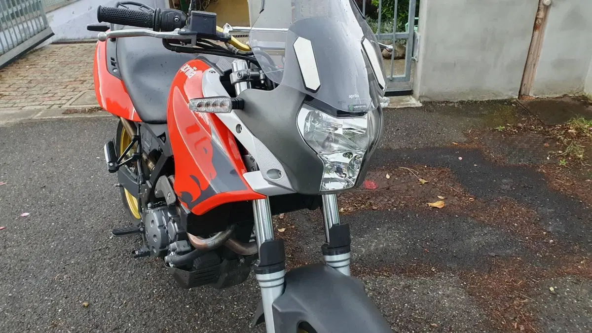 Aprilia Pegaso 650 Fun (2006 - 08) (7)