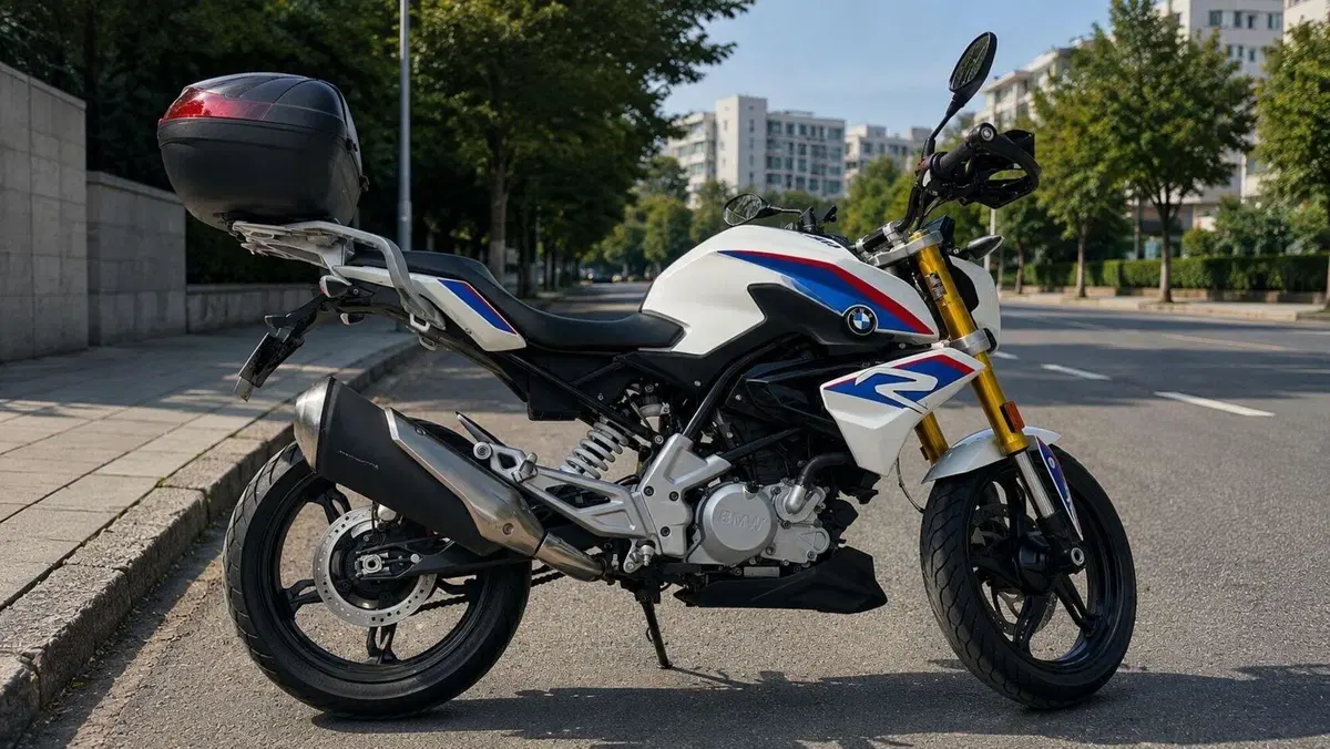 Bmw G 310 R (2016 - 20) (2)