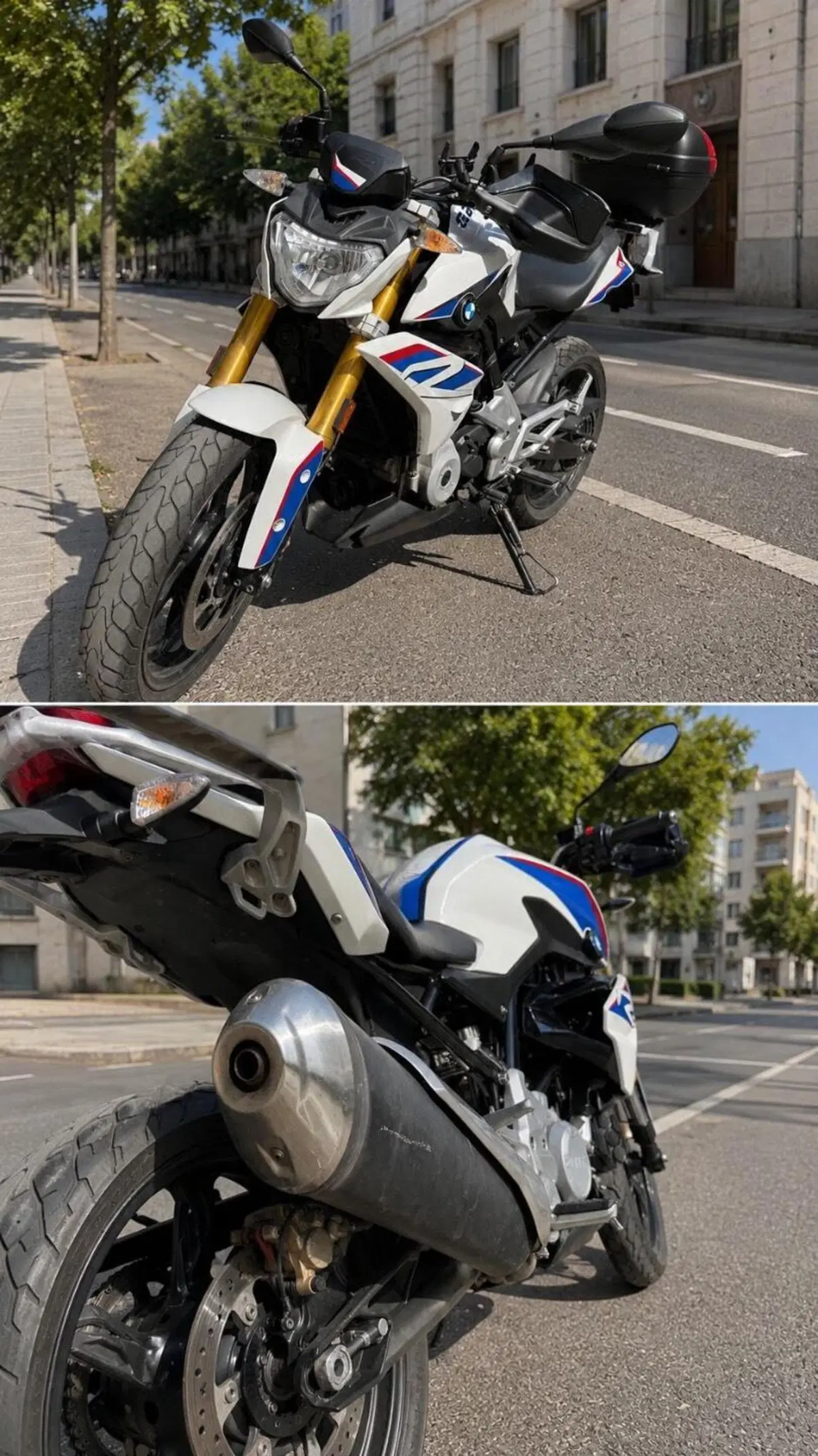 Bmw G 310 R (2016 - 20) (4)