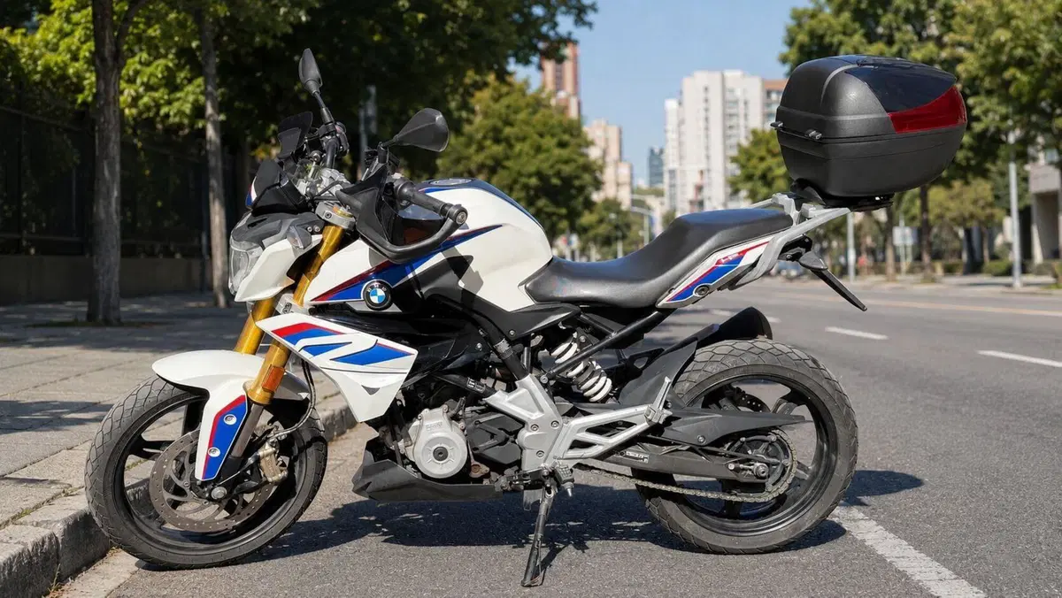 Bmw G 310 R (2016 - 20) (3)