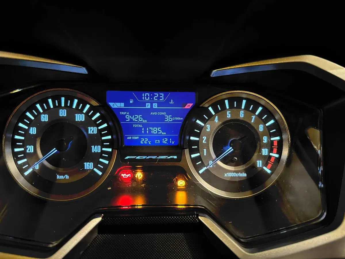 Honda Forza 300 Limited Edition ABS (2020) (3)