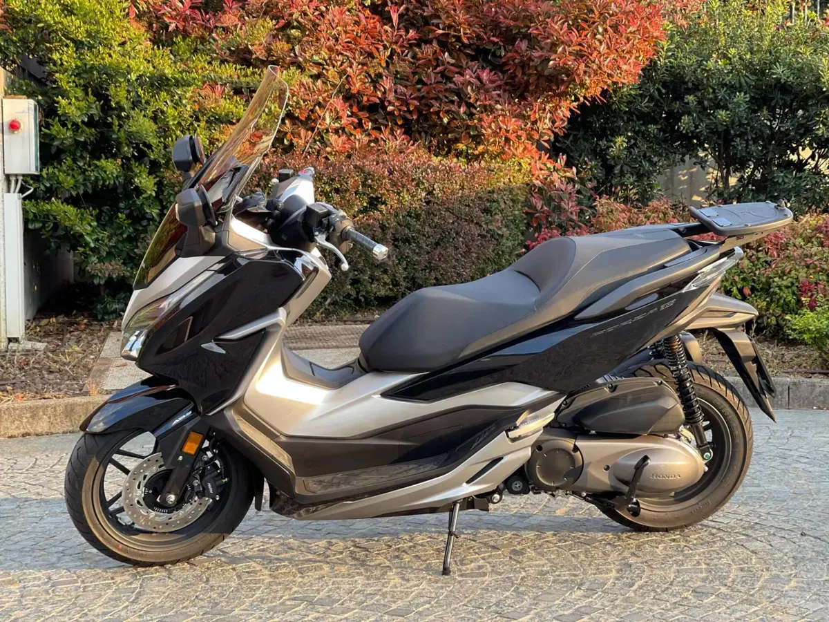 Honda Forza 300 Limited Edition ABS (2020) (2)