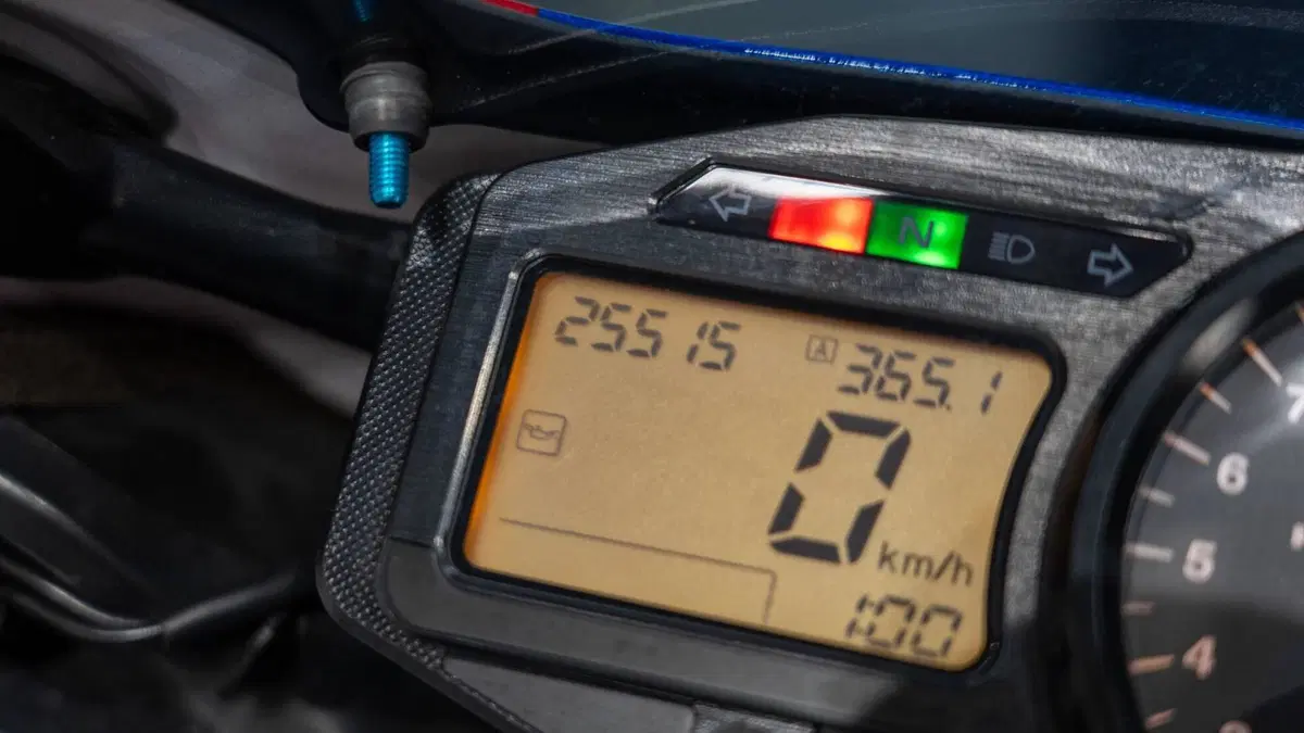 Honda CBR 900 RR Fireblade (2002 - 04) (20)