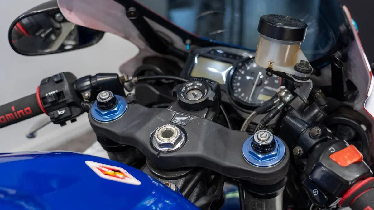 Honda CBR 900 RR Fireblade (2002 - 04) (15)