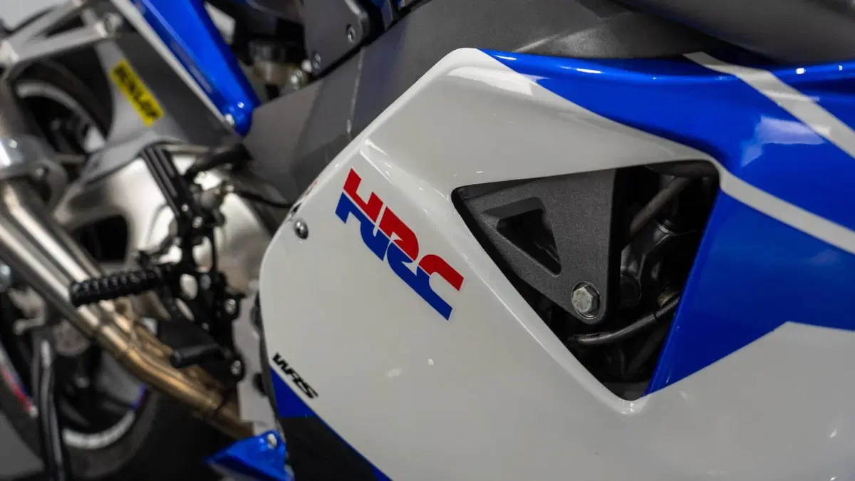 Honda CBR 900 RR Fireblade (2002 - 04) (19)
