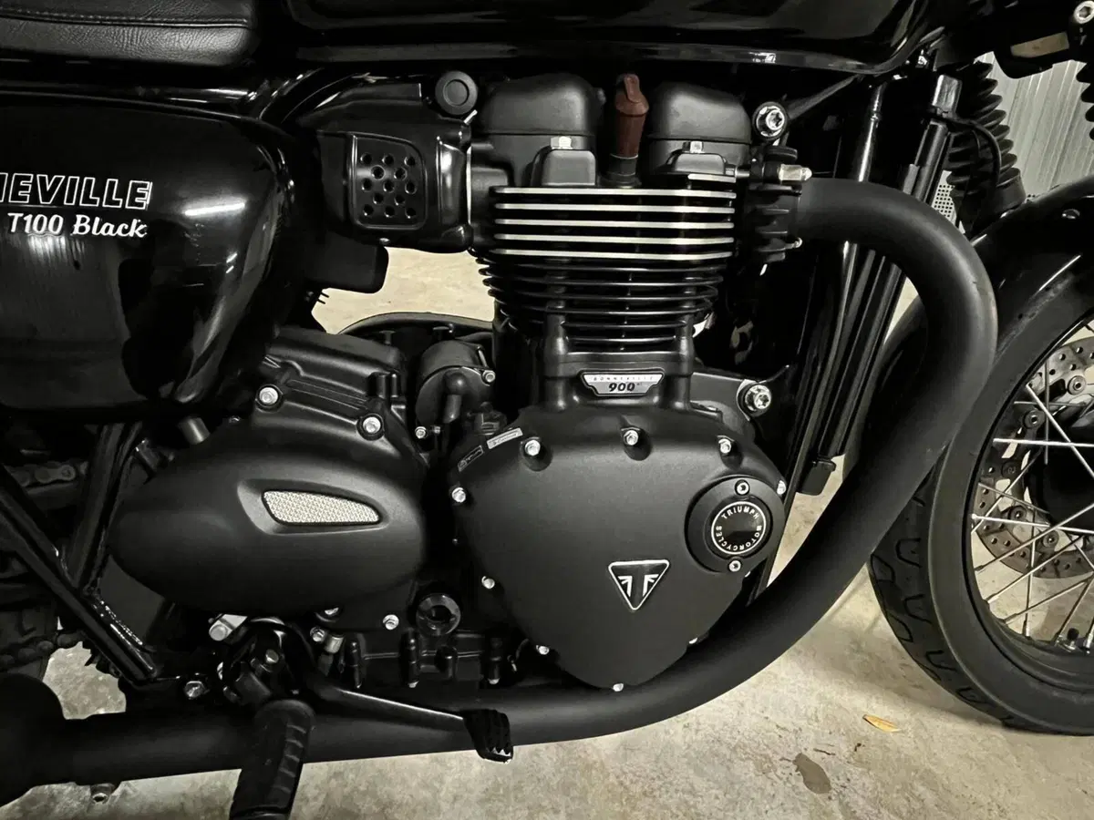 Triumph Bonneville T100 Black (2017 - 20) (8)