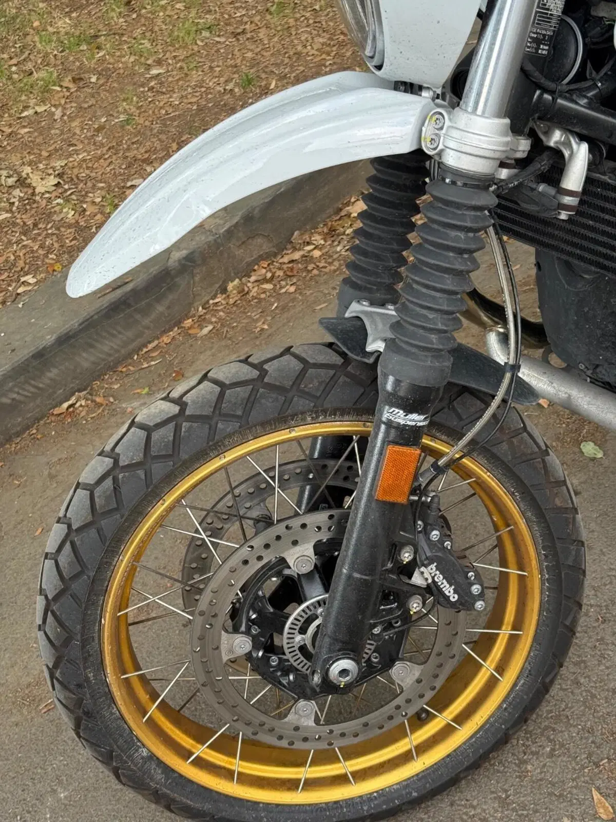 Bmw R nineT Urban GS (2021 - 24) (3)