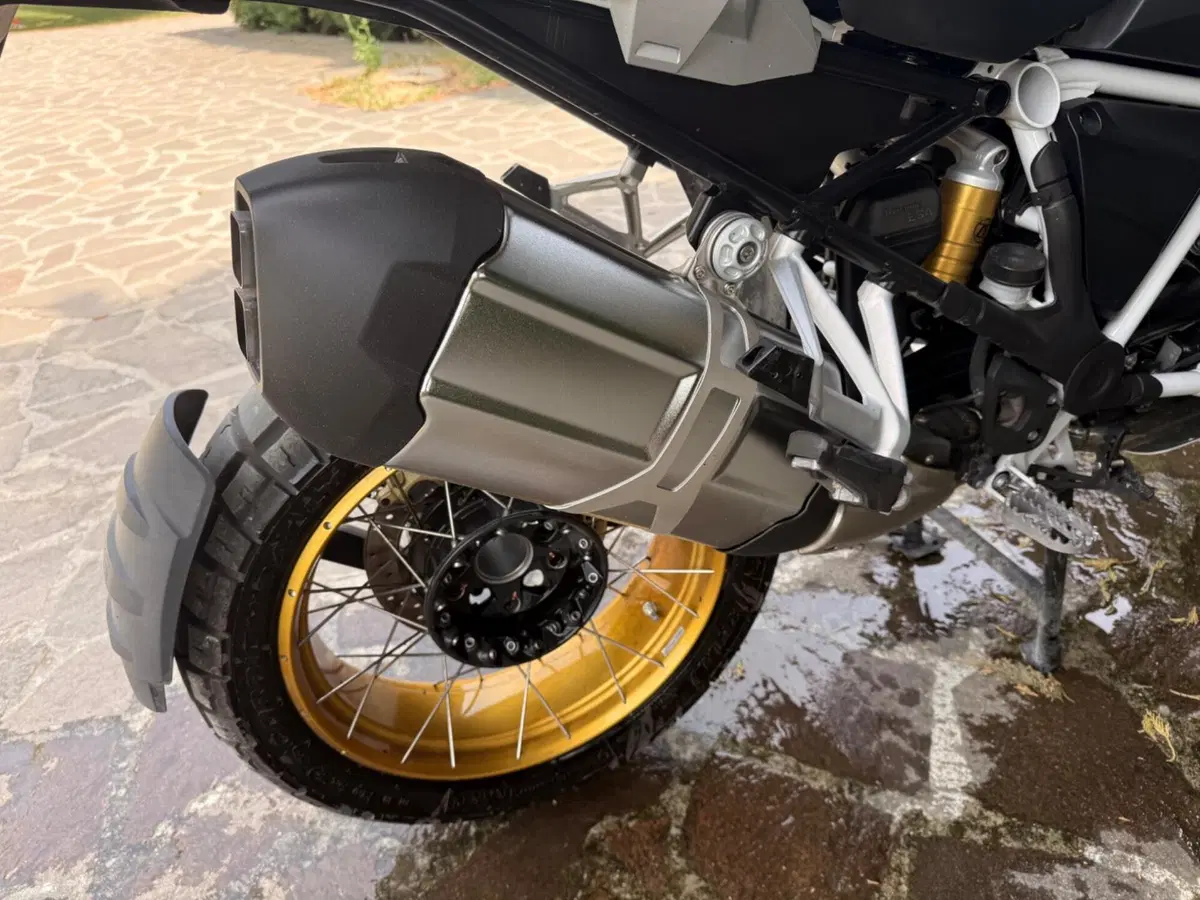 Bmw R 1250 GS (2019 - 20) (8)