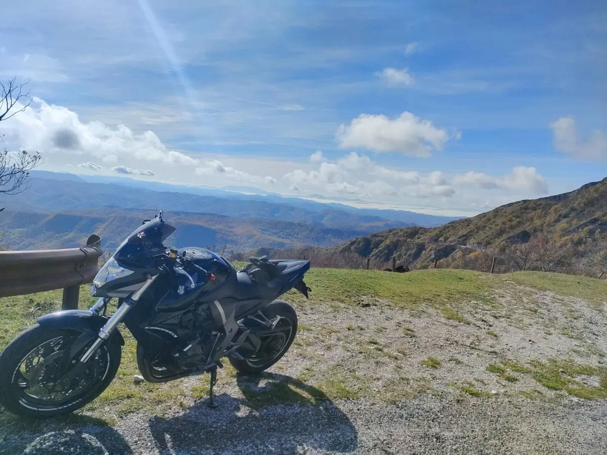 Honda CB 1000 R (2008 - 10)