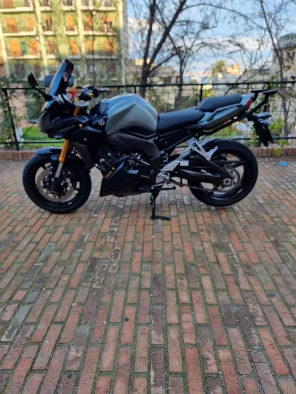 Yamaha FZ1 Fazer (2006 - 16) (2)
