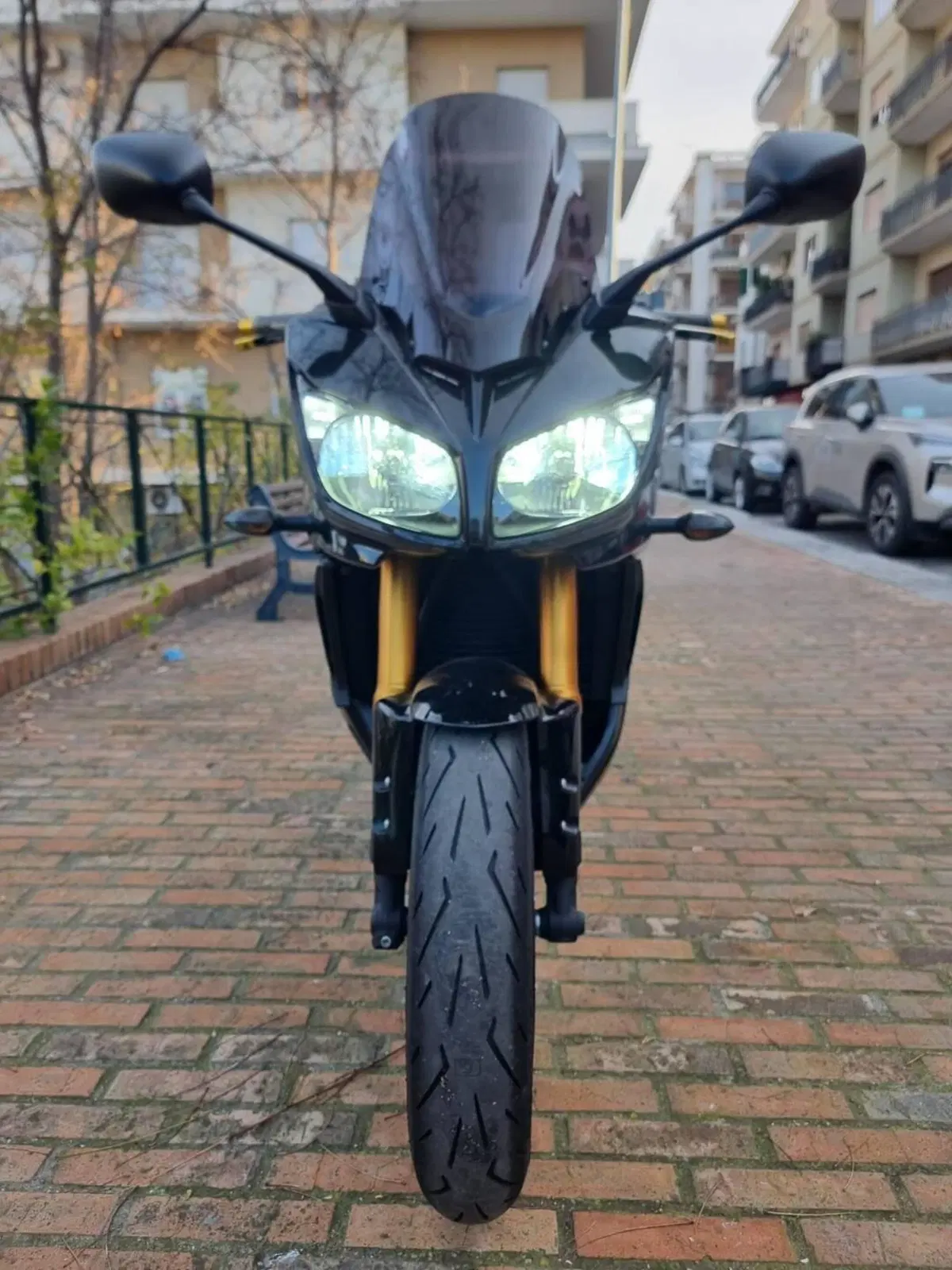 Yamaha FZ1 Fazer (2006 - 16) (3)