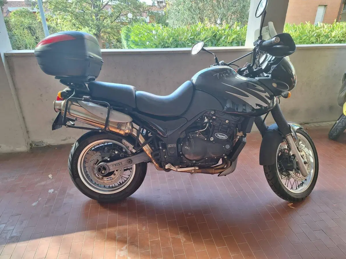Triumph Tiger 900 (2)