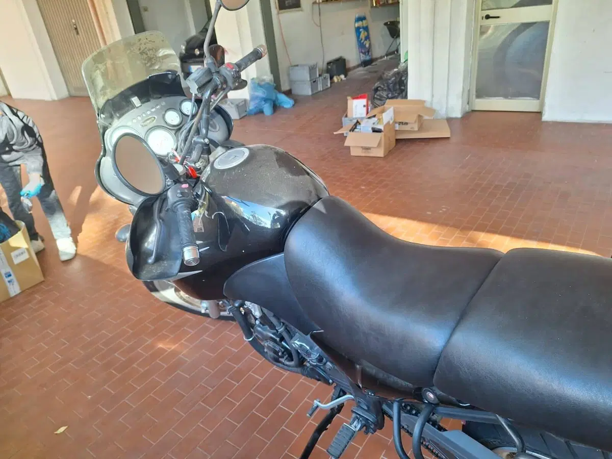 Triumph Tiger 900 (3)