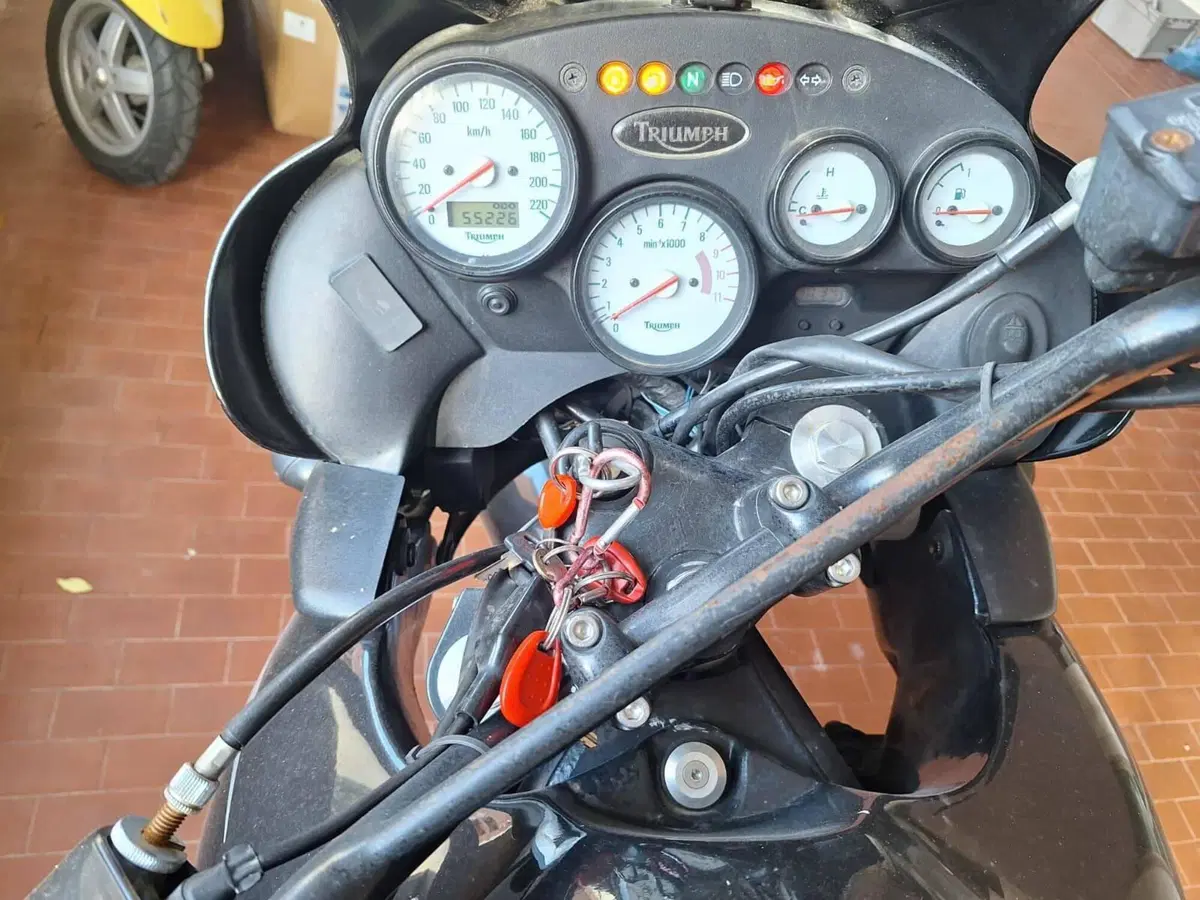Triumph Tiger 900 (4)