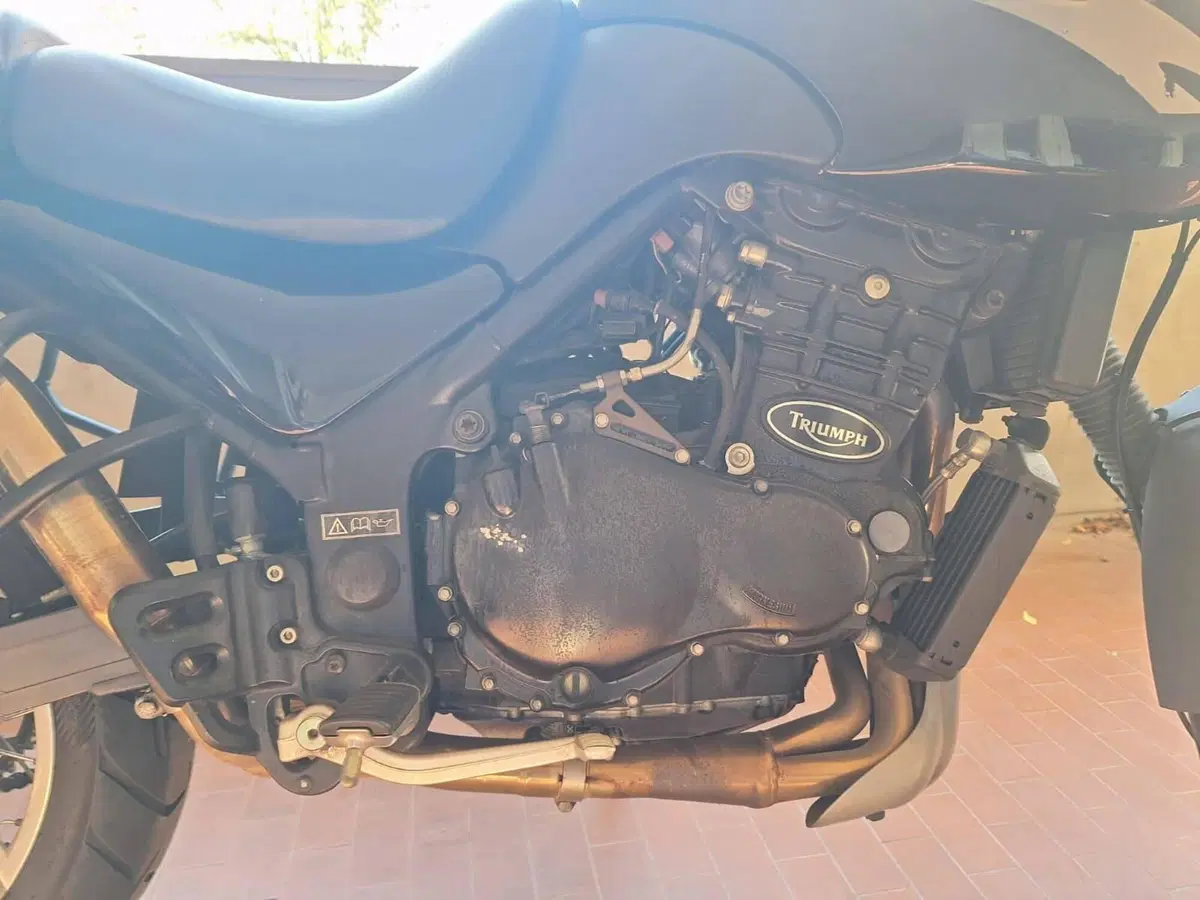 Triumph Tiger 900 (7)