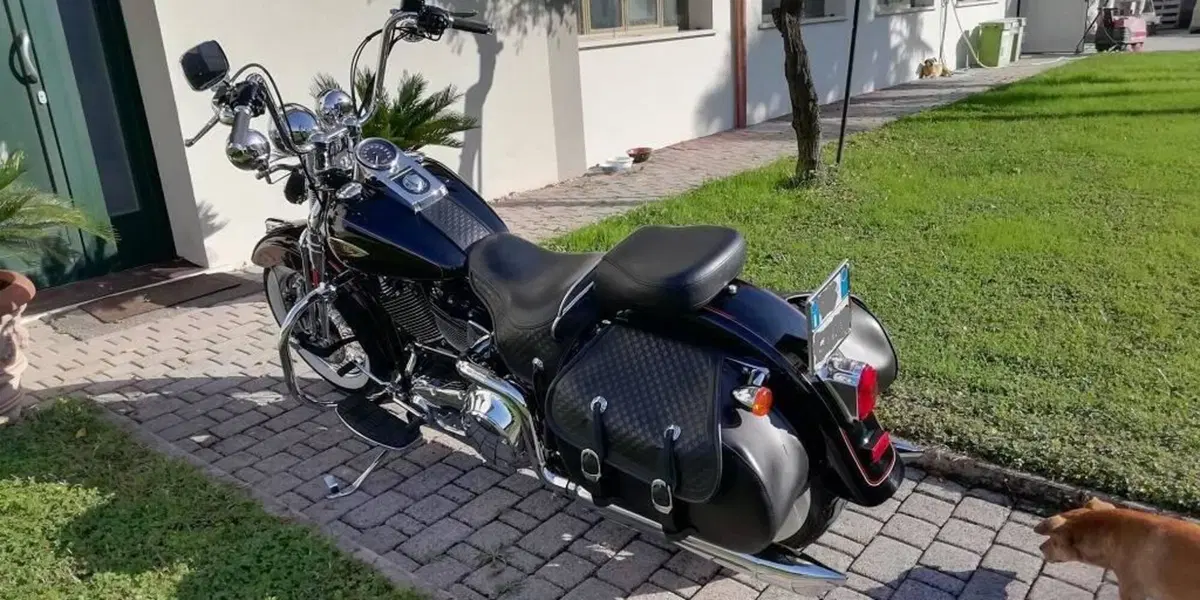 Harley-Davidson 1450 Heritage Springer (2000 - 03) - FLSTS (6)